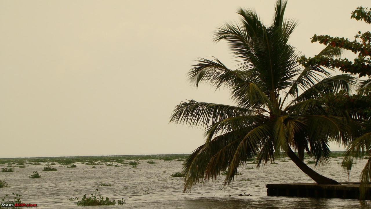 Весенний отпуск в Алапуже