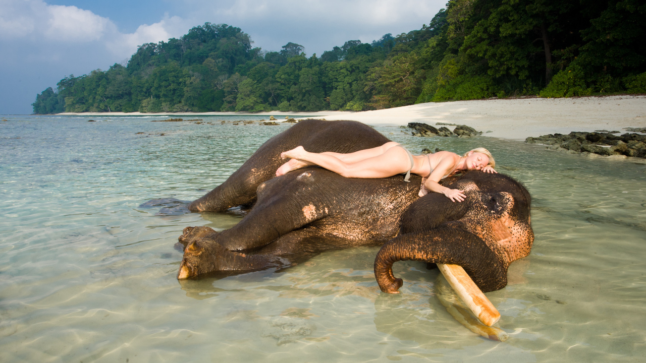 Девушка на слоне на Андаманских островах