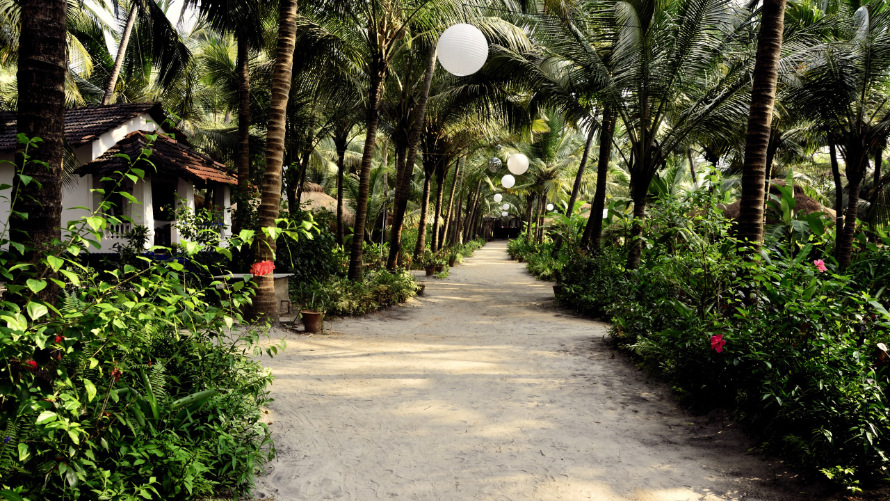 Прогулка по улицам Ашвема