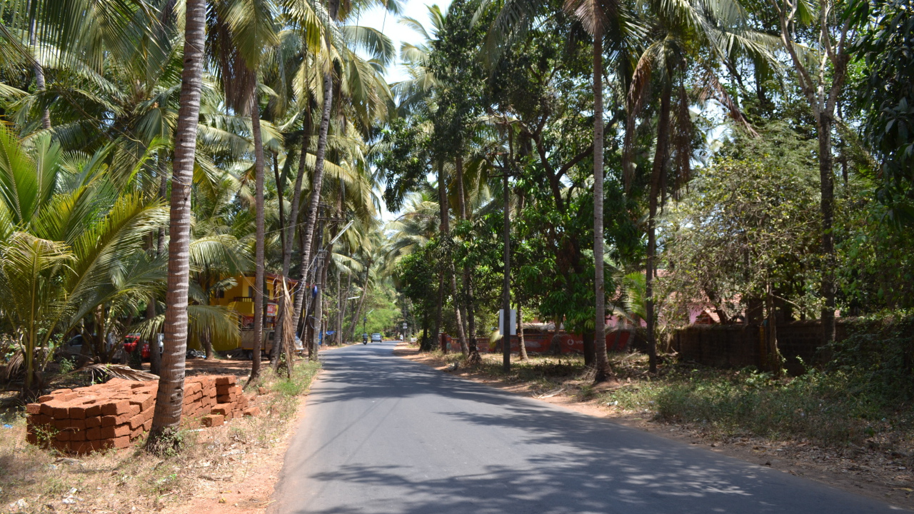Прогулка по улицам Бенаулима