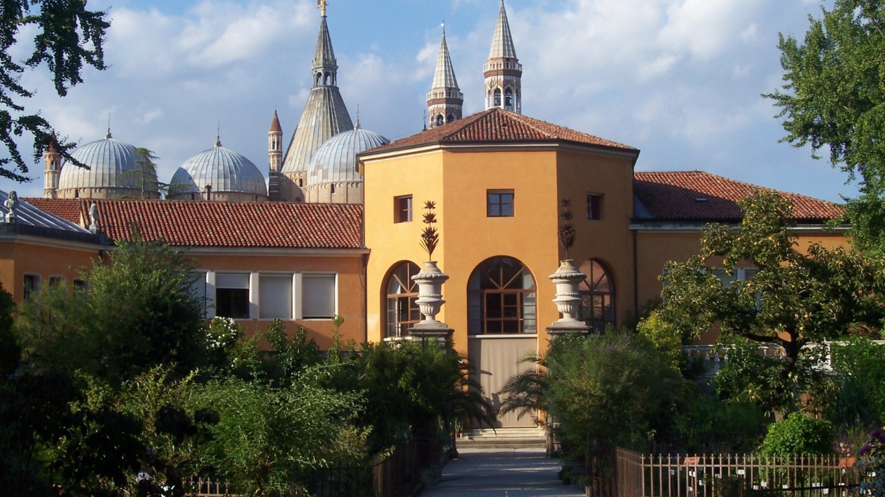 Орто Ботанико в Падуе, Италия