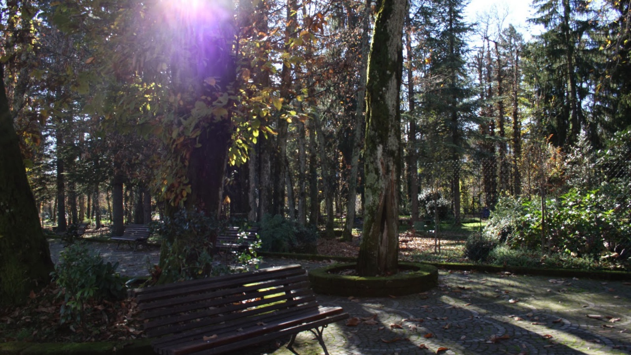 Парк на курорте Фьюджи, Италия