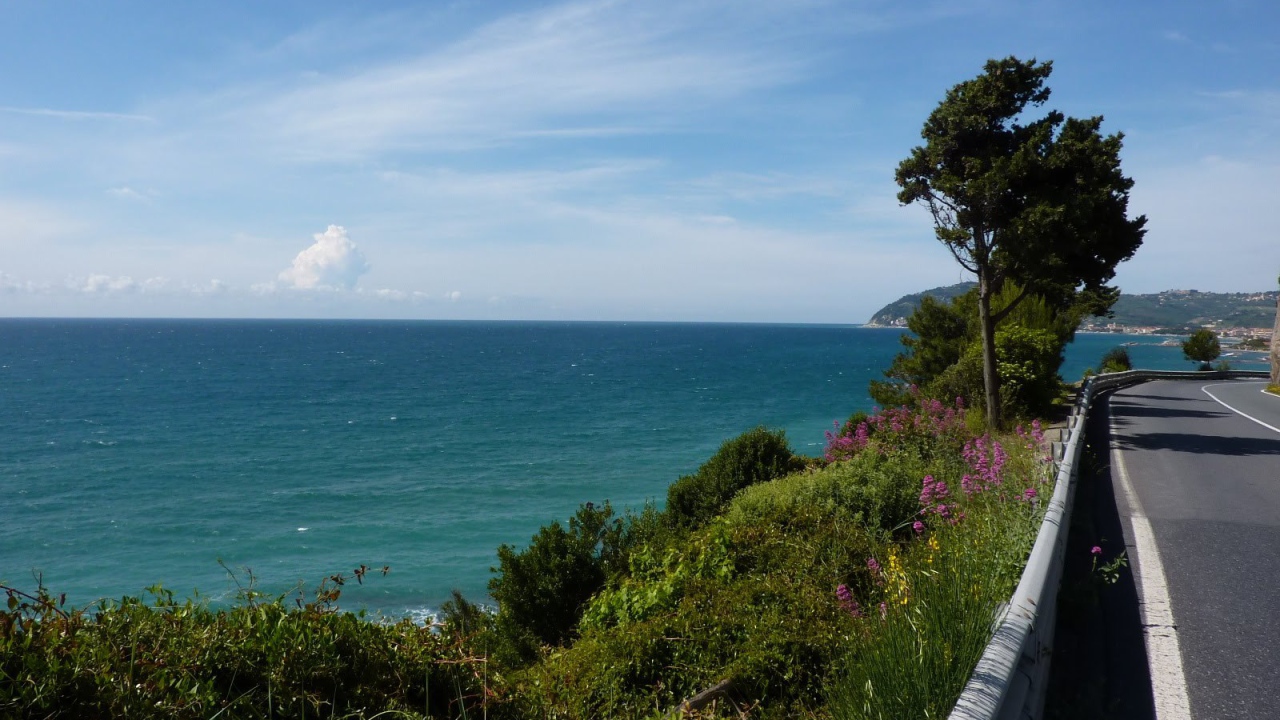 Деревья на набережной в Санто Стефано аль Маре, Италия