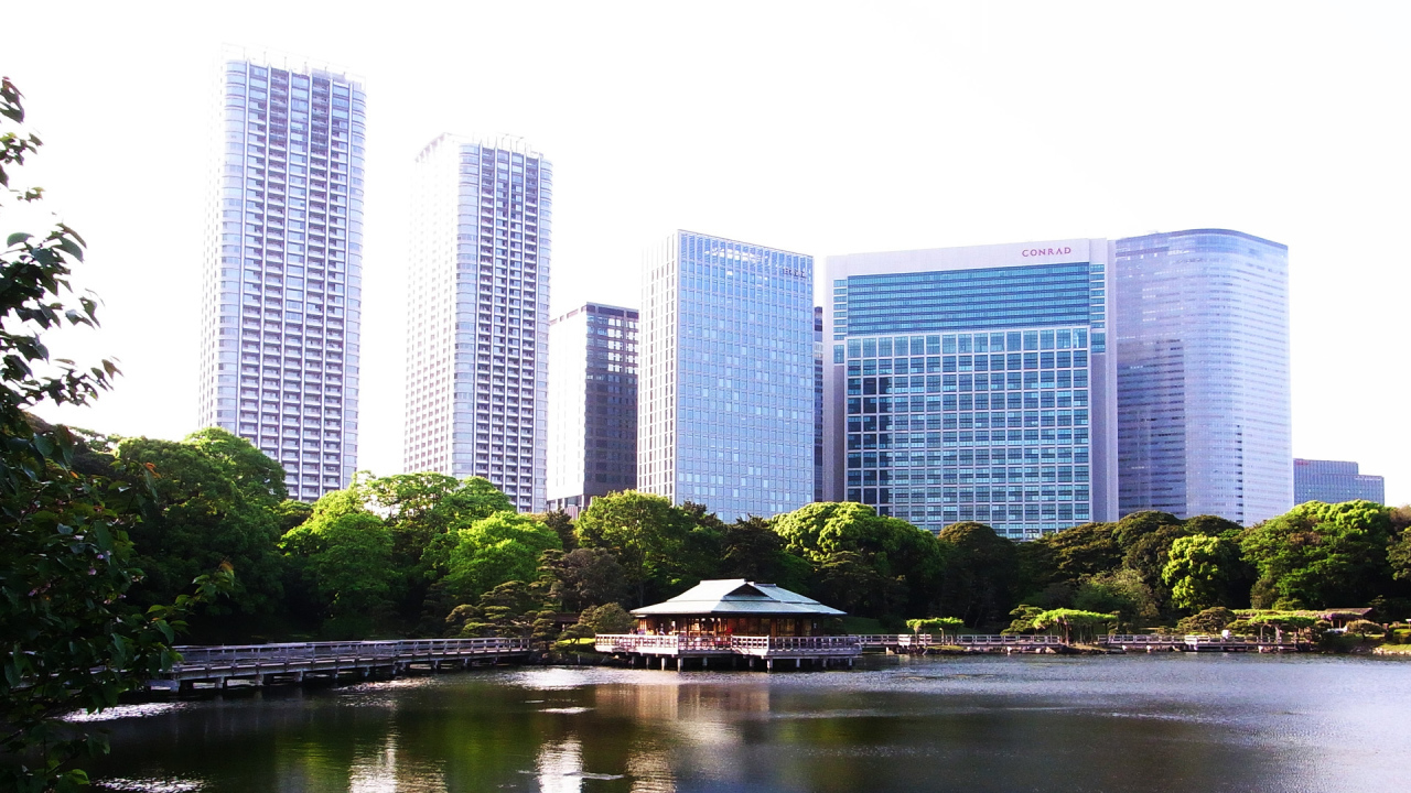 Озеро на фоне зданий в Токио