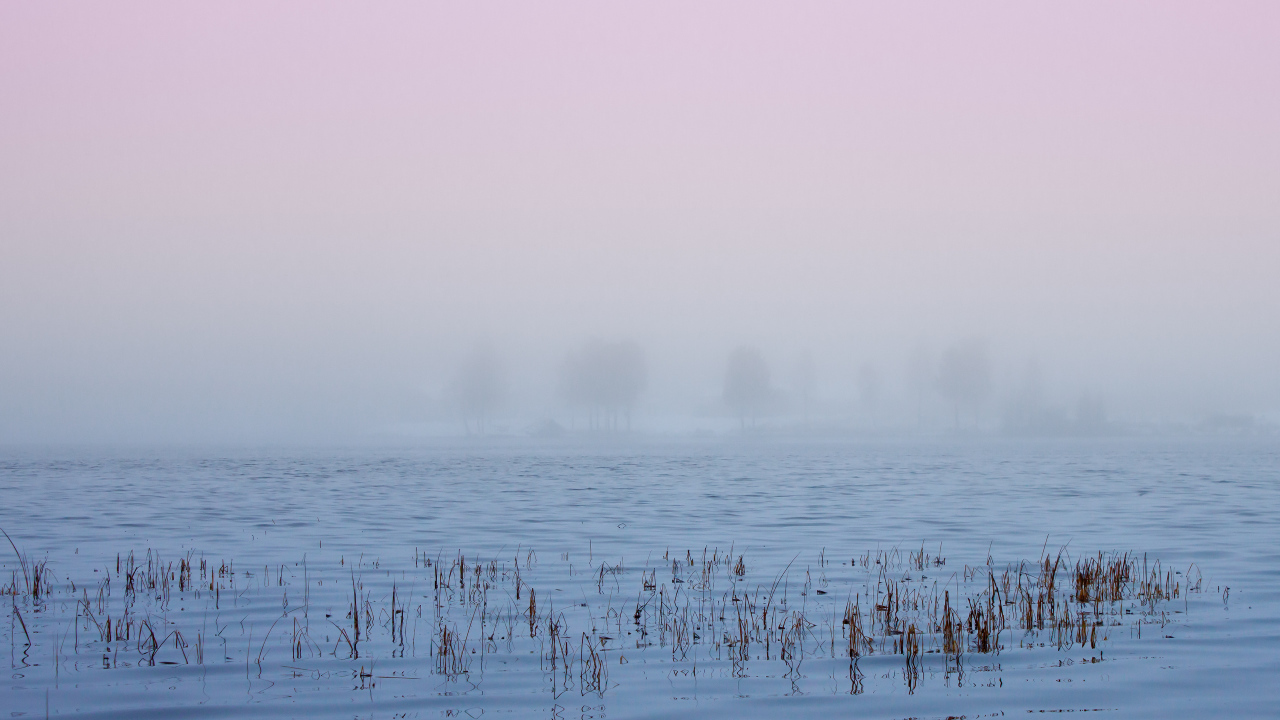 Туман в Швеции