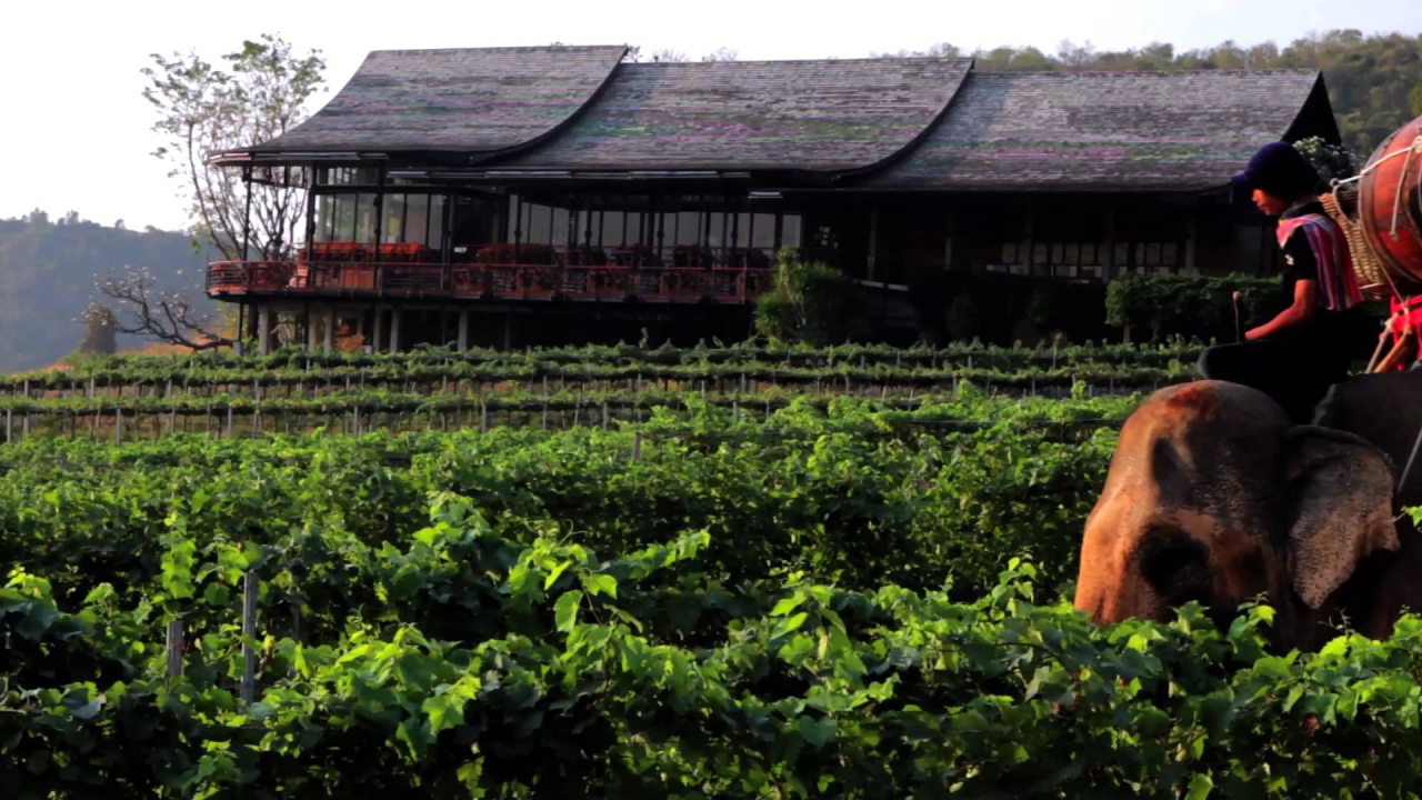 Слон на фоне дома на курорте Хуа Хин, Таиланд