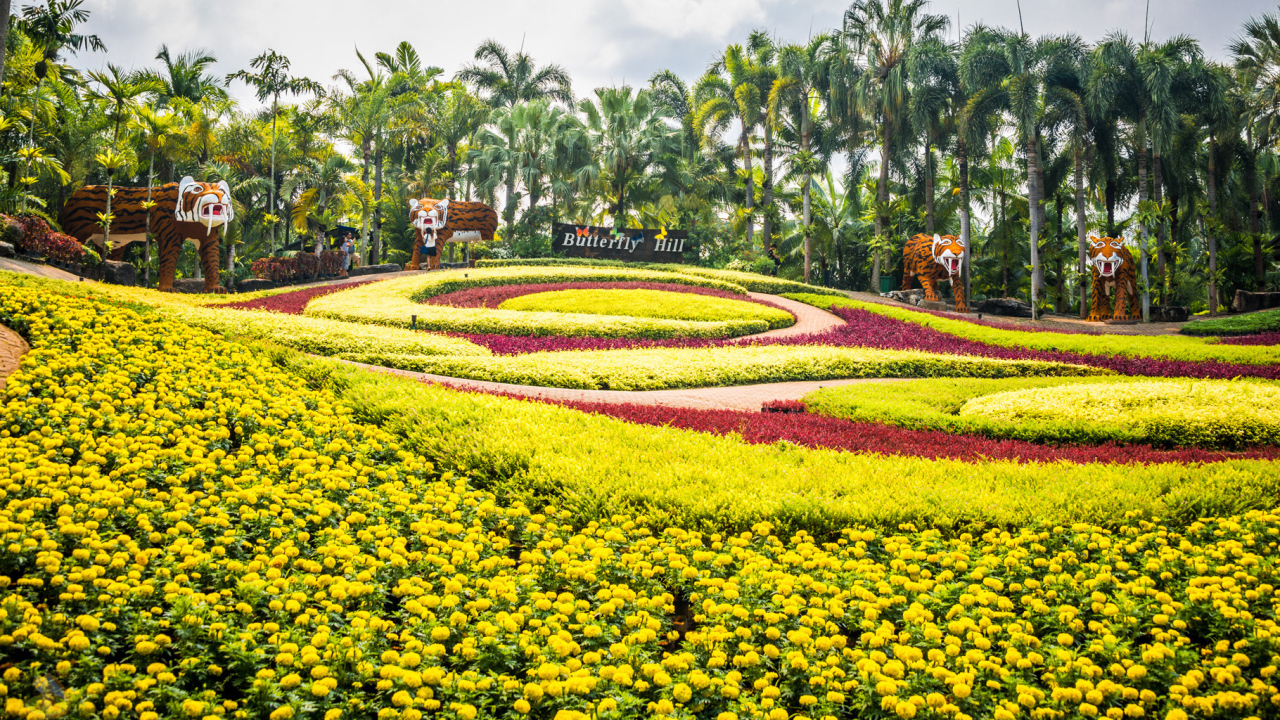 Великолепный сад на курорте в Паттайе, Таиланд