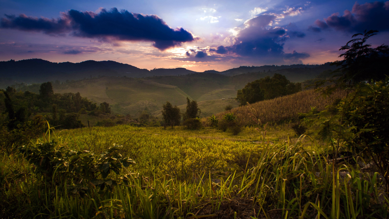 Недалеко от деревни Мае Салонг в Таиланде