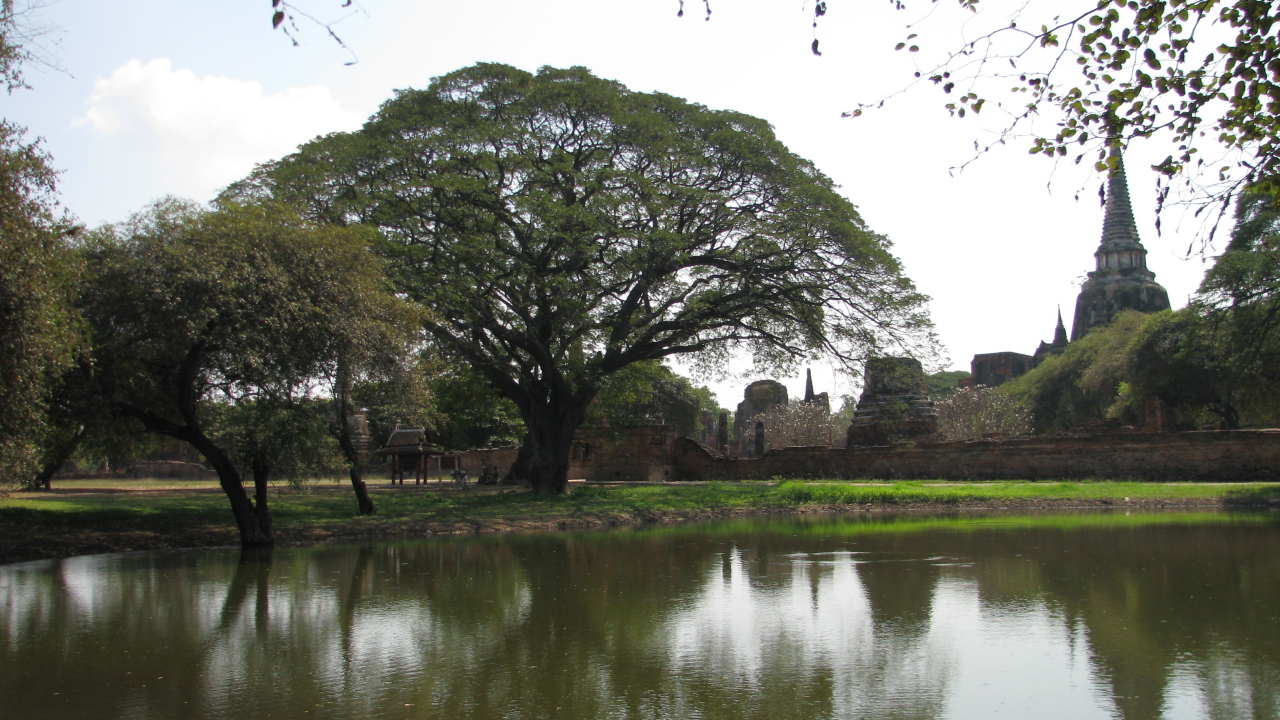 Пруд на курорте Аютайя, Таиланд