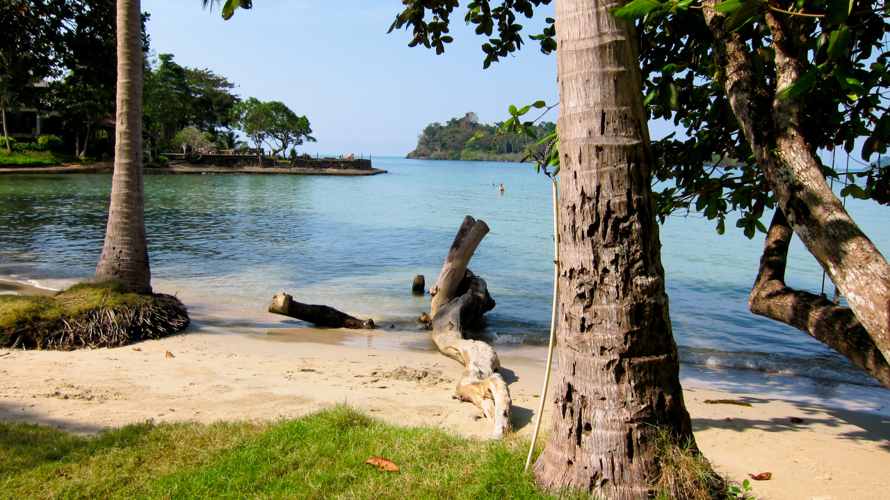 Деревья на пляже на курорте Районг, Таиланд