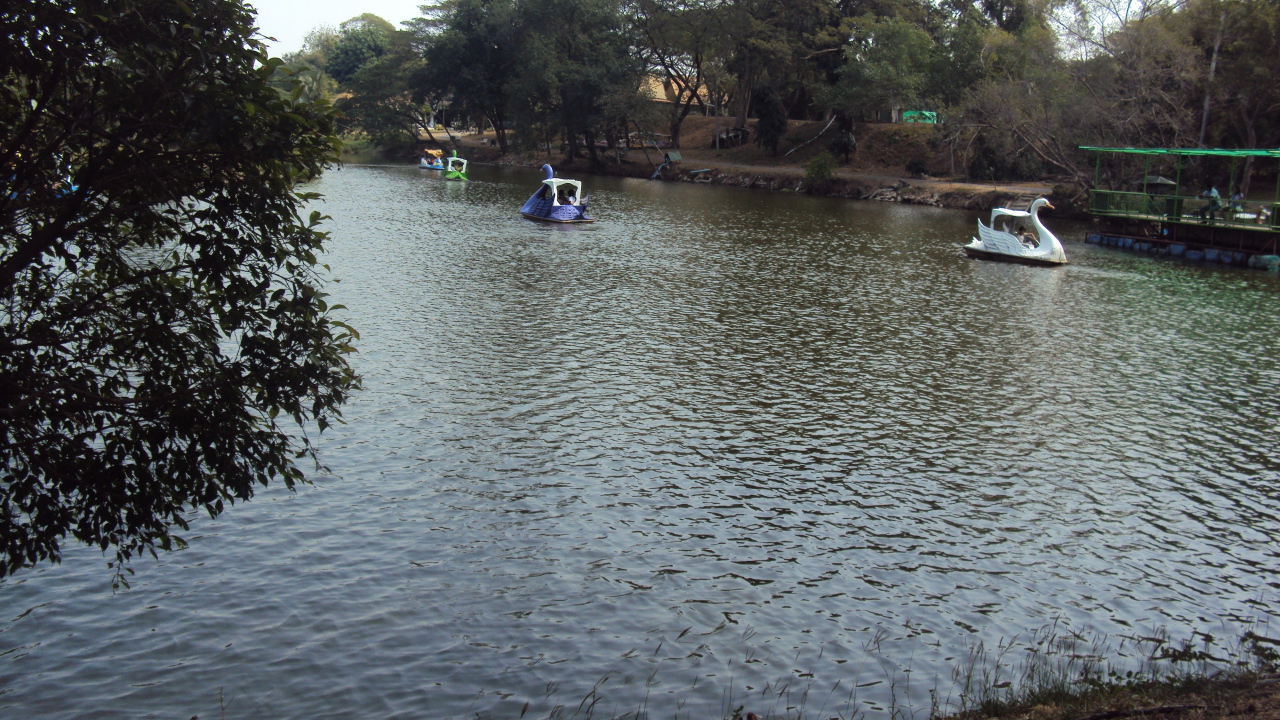 Зоопарк на курорте Лопбури, Таиланд