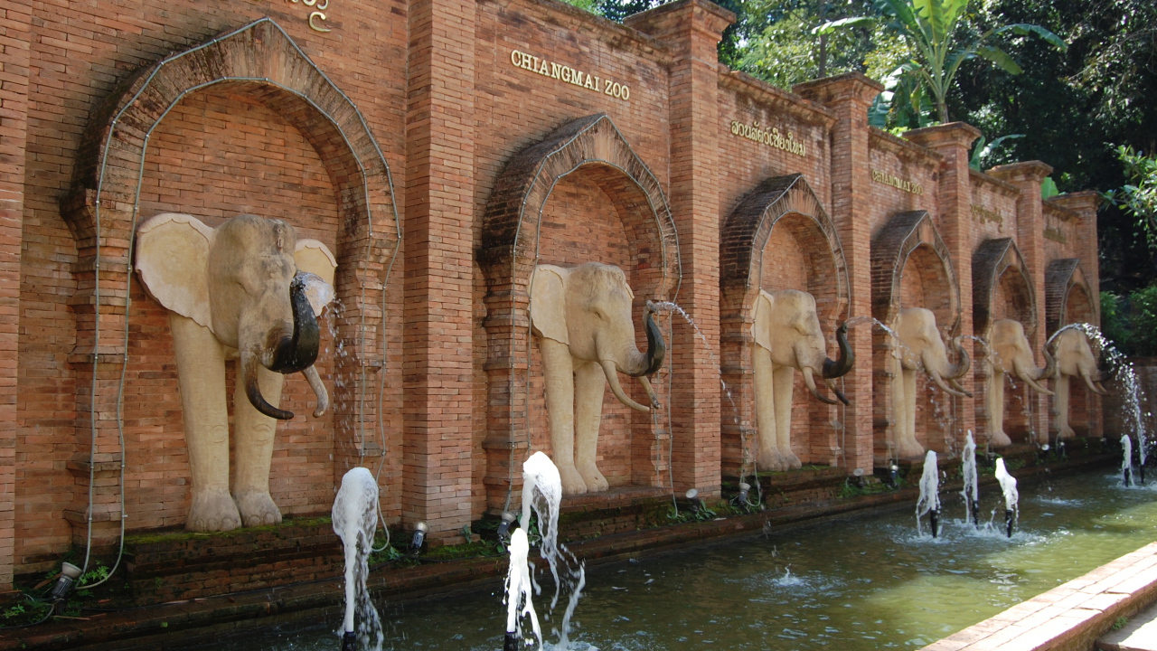 Зоопарк на курорте Чианг Май, Таиланд