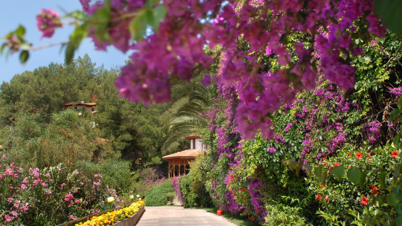 На курорте Фетхие, Турция