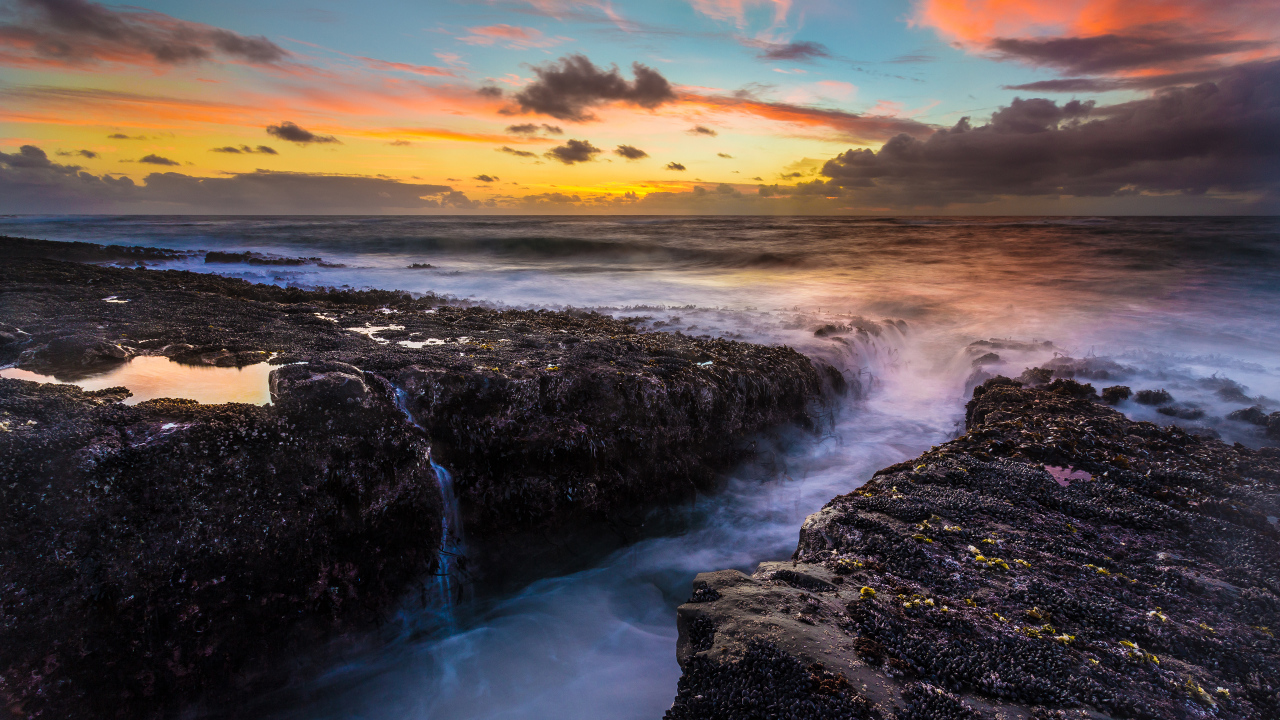 Парк штата Кейп Араго, США