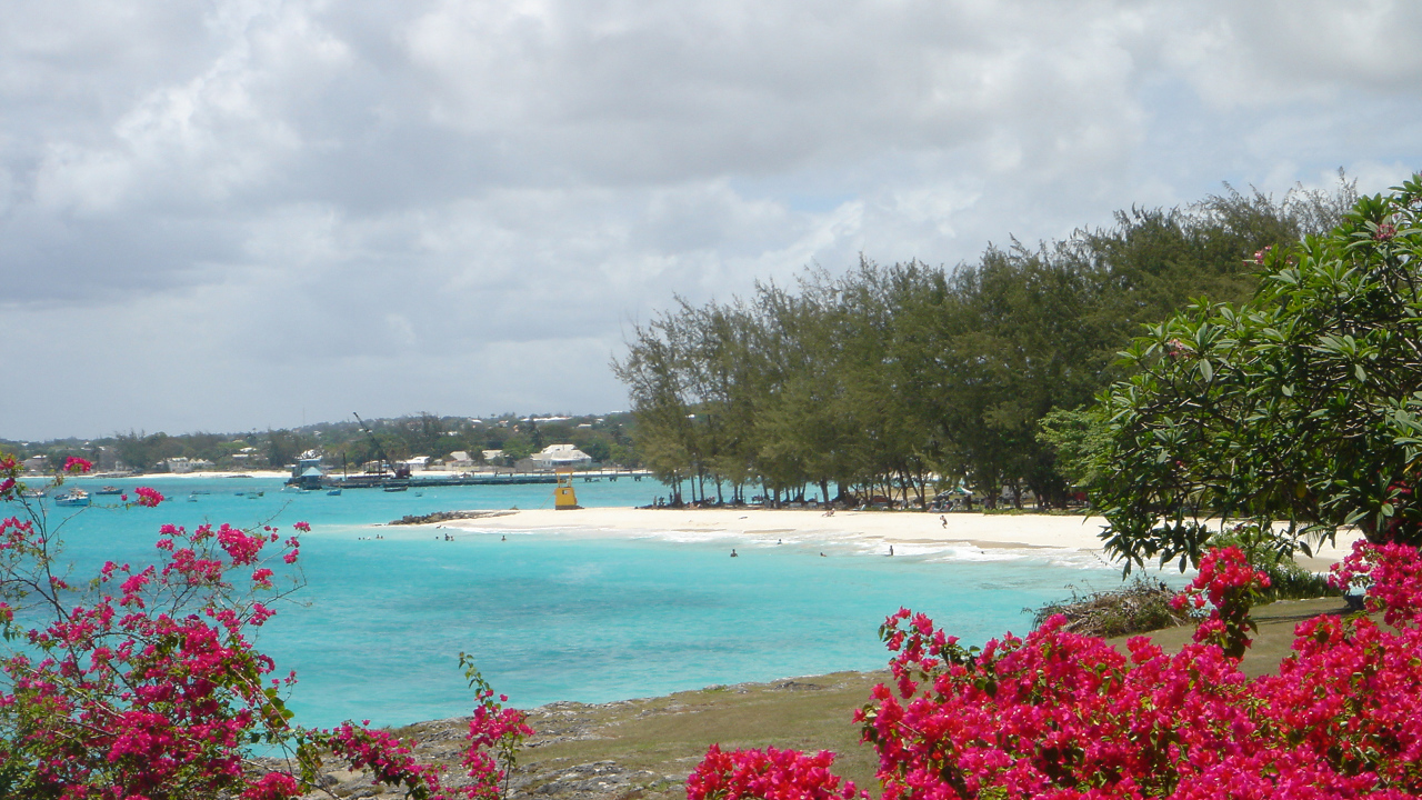 Растительность на пляже в Майами