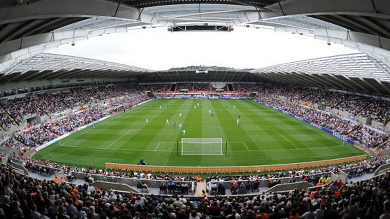 Возлюбленный Футбольный клуб Англии Суонси Сити