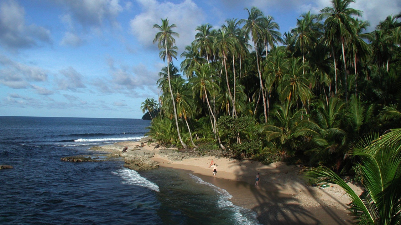 Пляж Мансанильо Коста-Рика