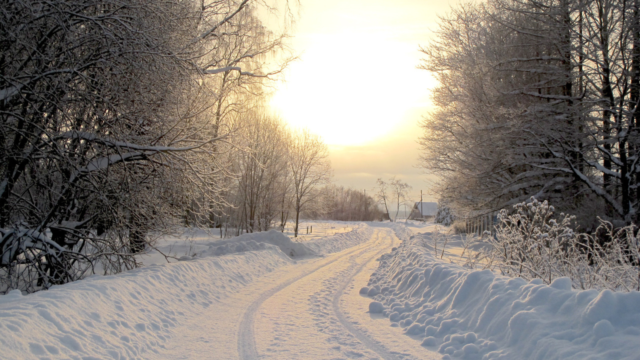 Утро за городом в Киеве