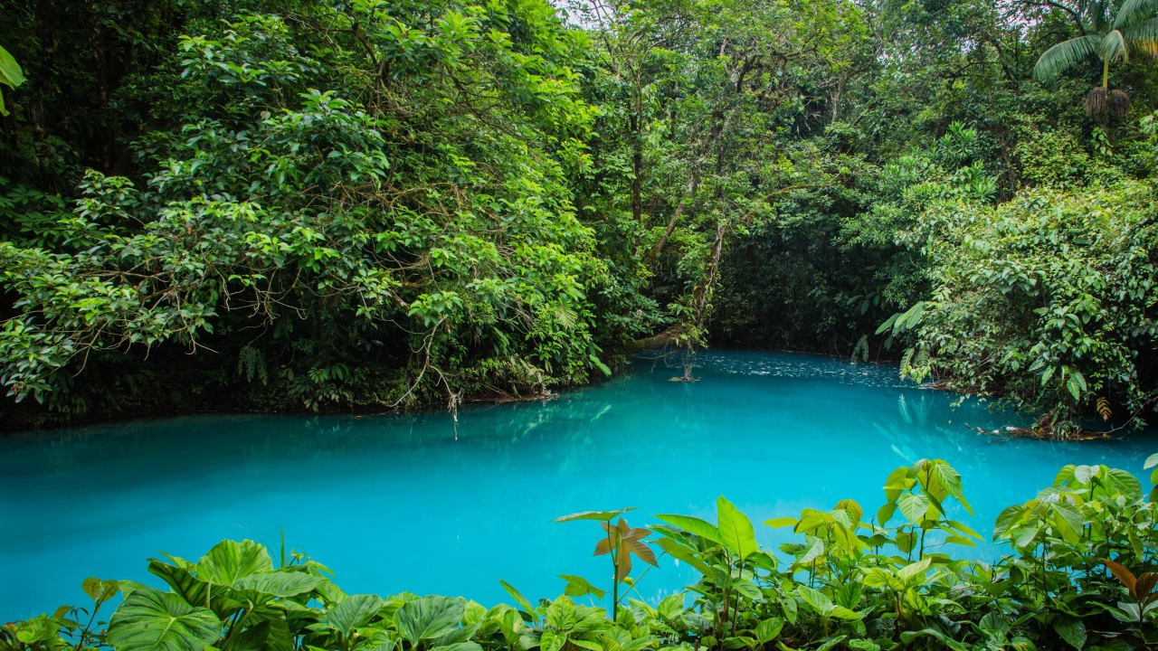 Национальный парк в Коста-Рика