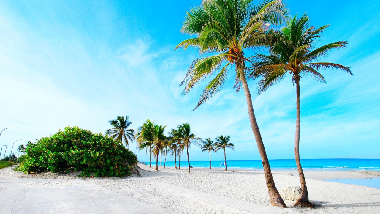Пальмы на пляже на курорте Кайо Энсеначос, Куба
