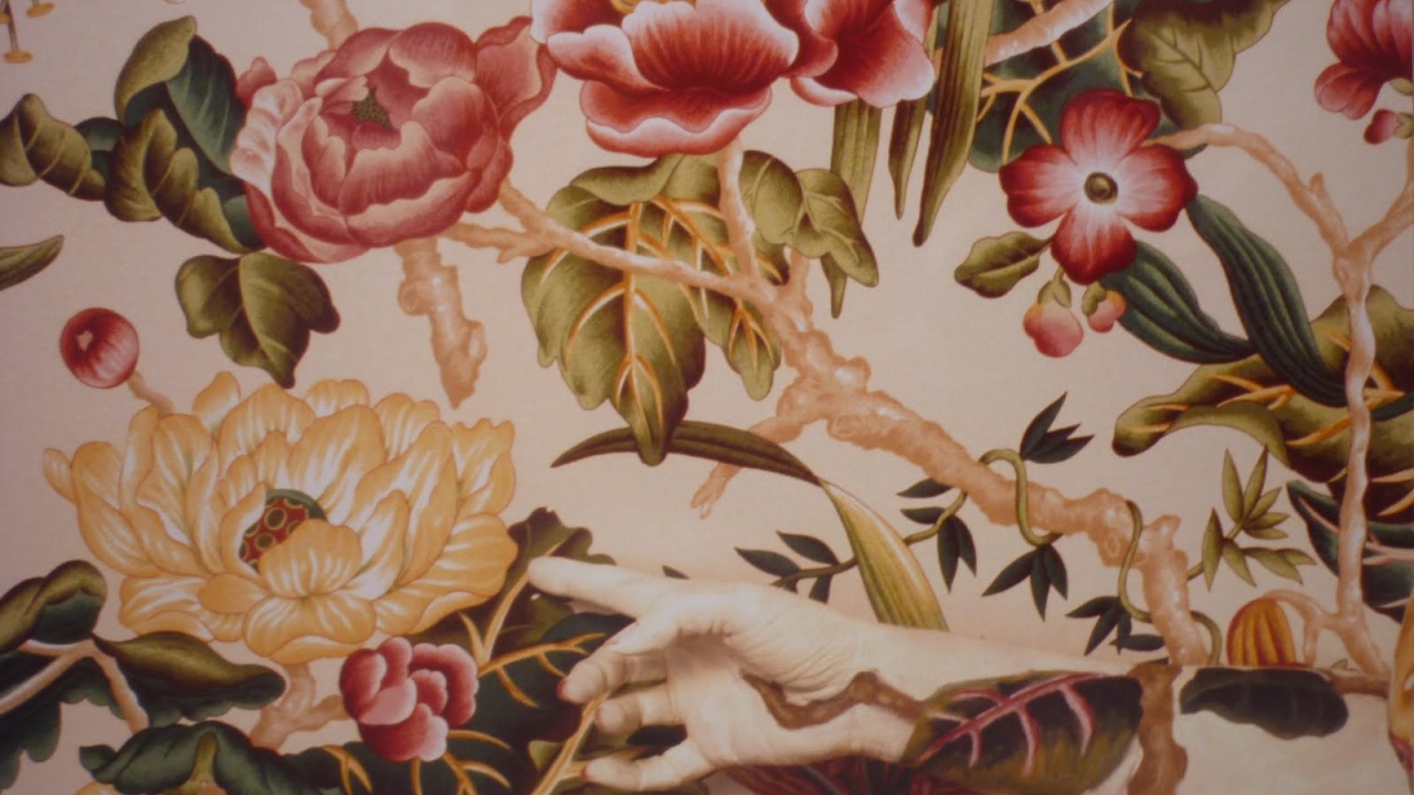 Фотография красивая картина