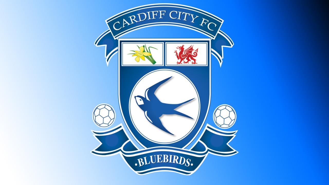 Популярный Футбольный клуб Кардифф Сити