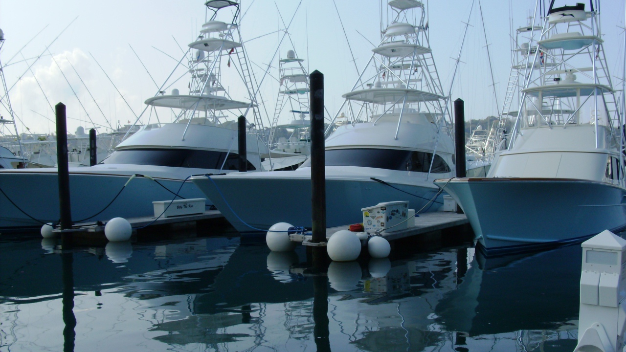 Порт Коста-Рика