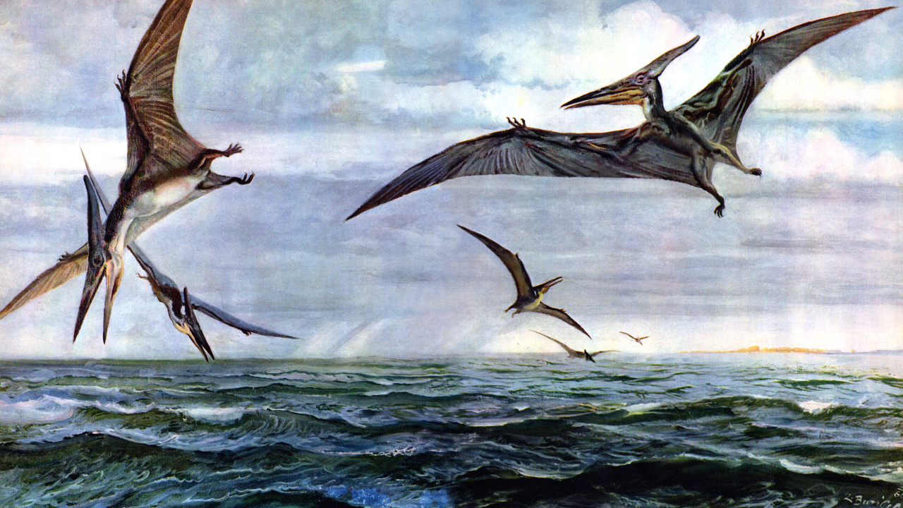 Птеродактили над океаном