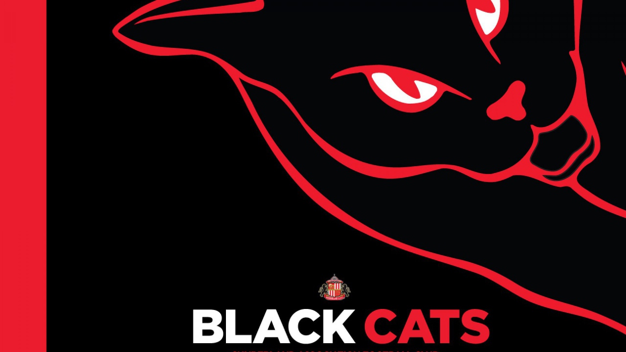 Любимая команда футбола Англии Сандерленд