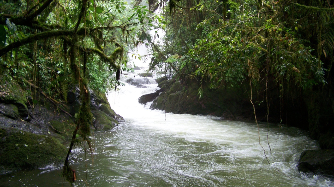 Водопад и река в Коста-Рика