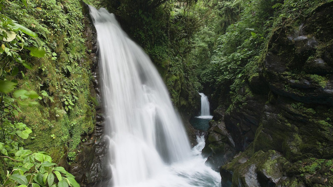 Красивое Коста-Рика