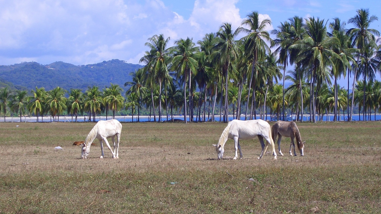 Популярное место в Коста-Рика