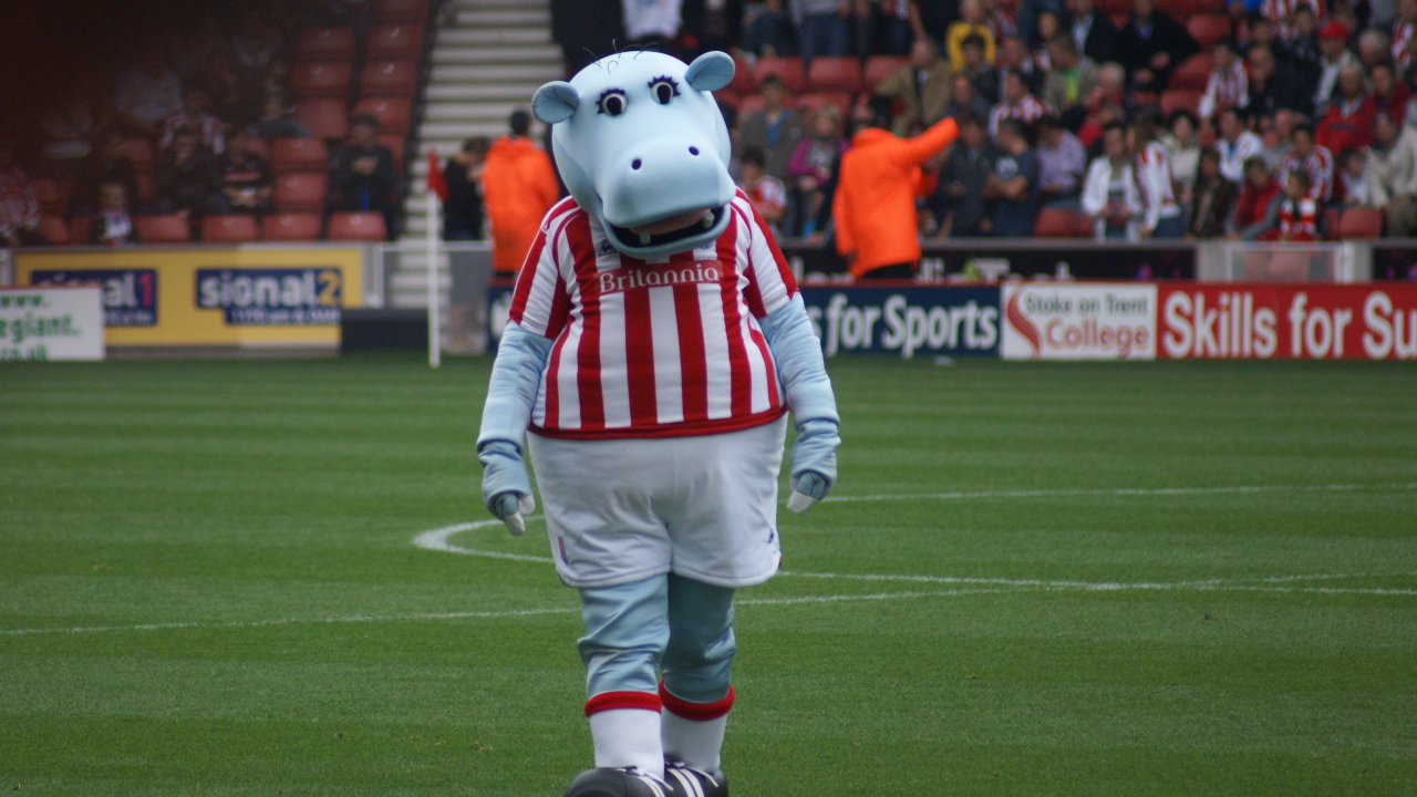 Известный ФК Сток Сити