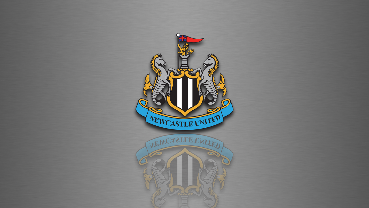 Известная футбольная команда Англии Ньюкасл Юнайтед