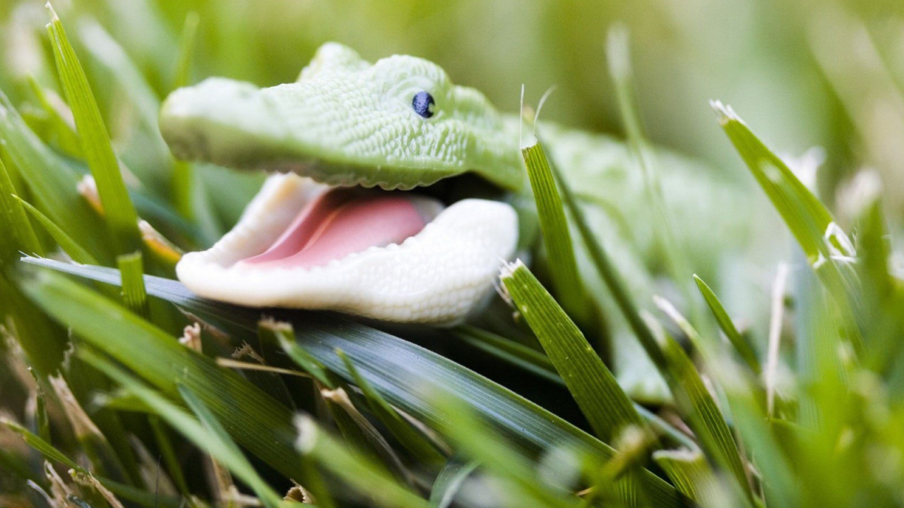 Зеленый крокодильчик в траве