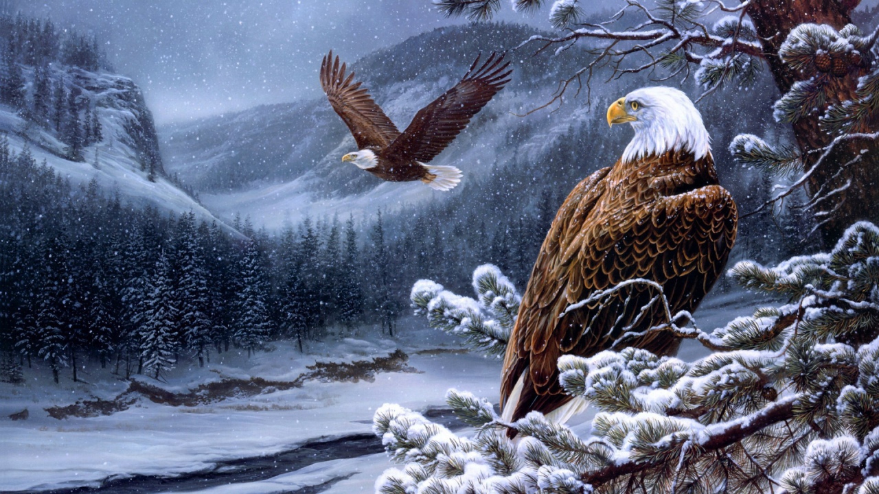 Белоголовые орланы в горах