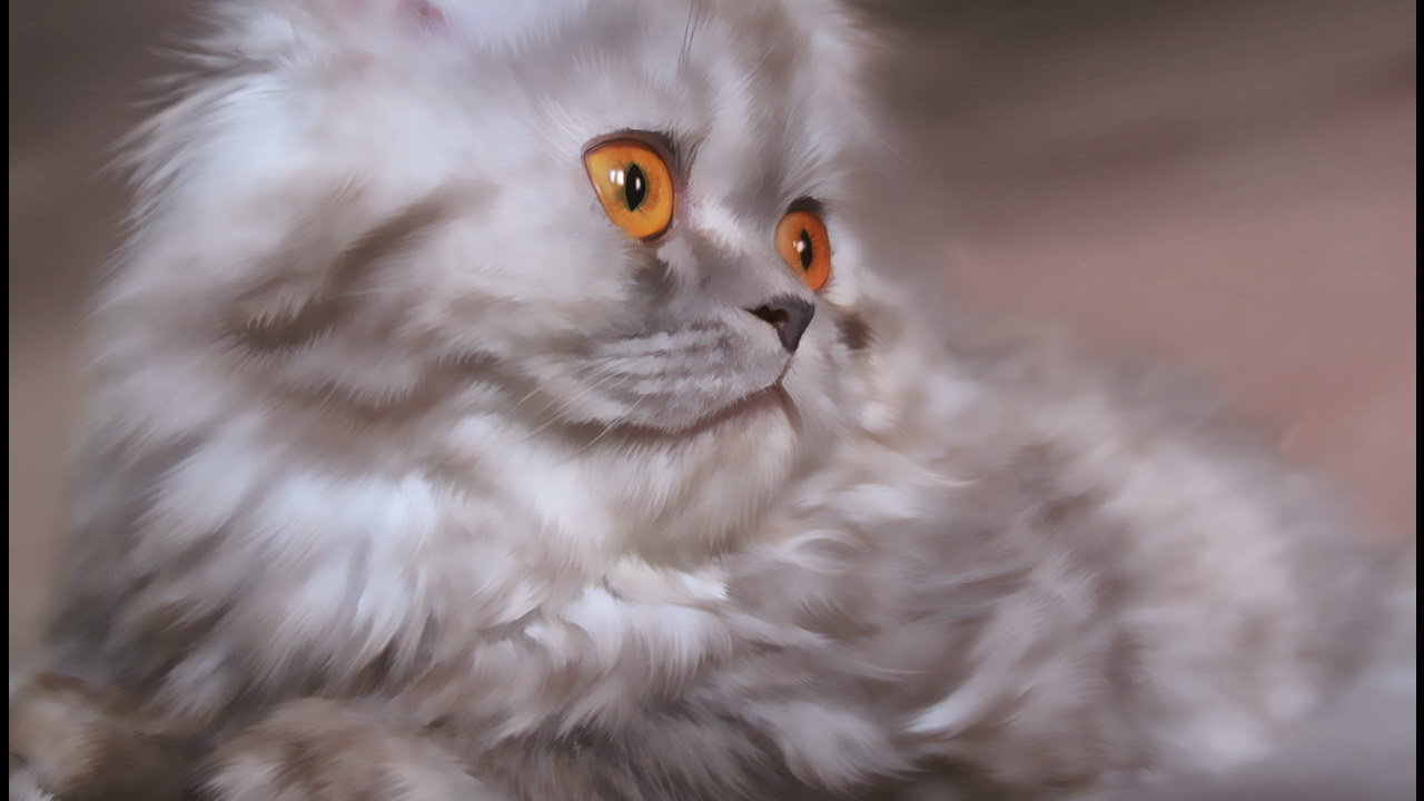 Серебристый  котенок