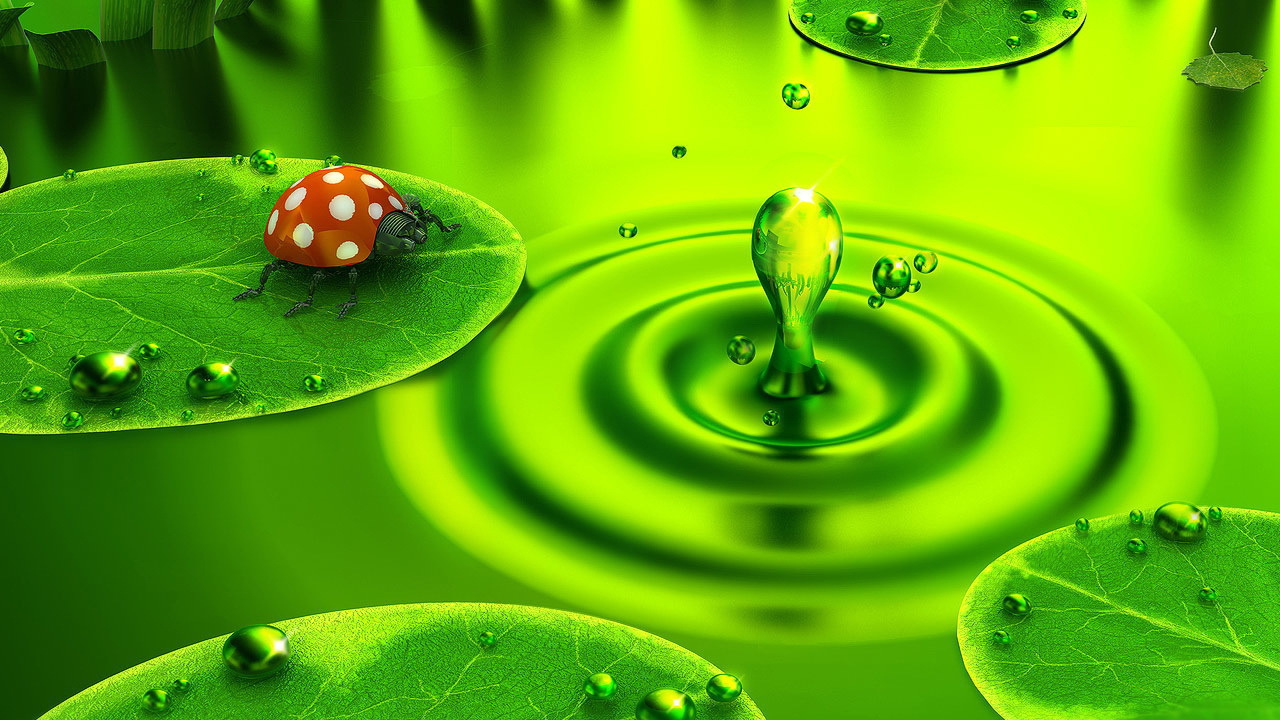 Божья коровка на водяном листке