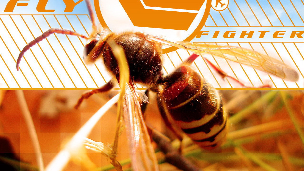 Осиная талия