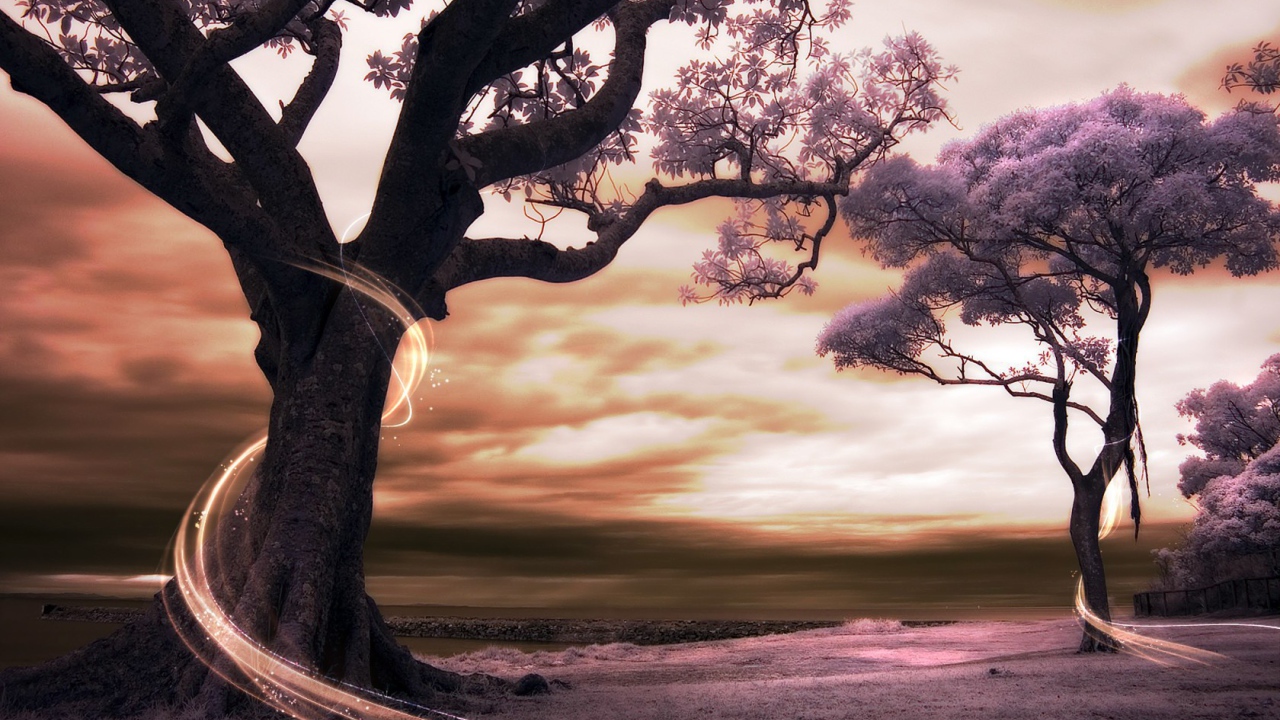 Сказочный сад в мире аниме