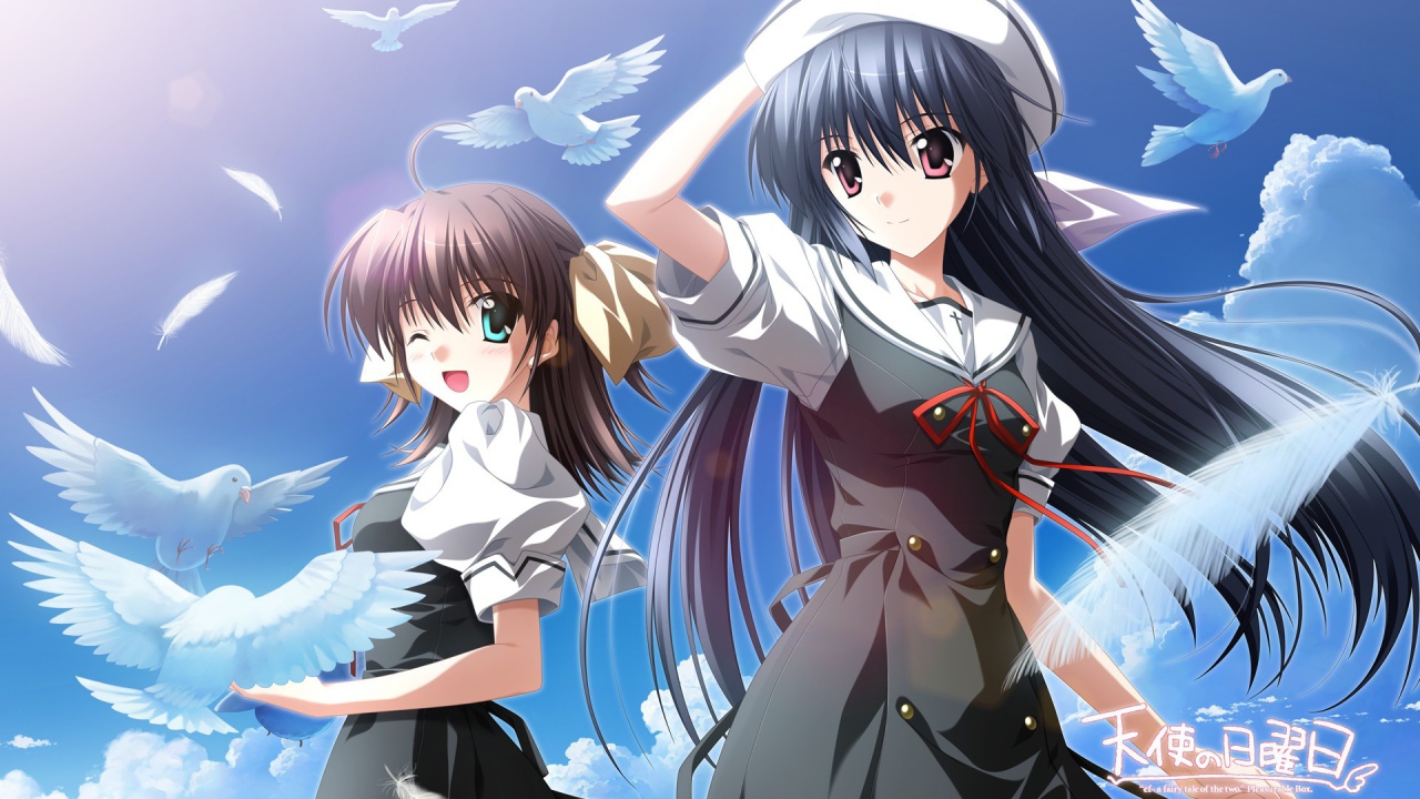 Девушки и голуби в аниме Эф - история воспоминаний
