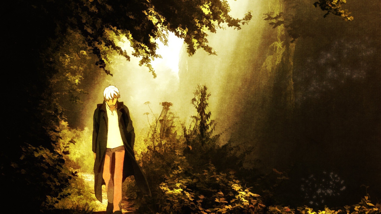Парень идет по лесу, аниме Мастер Муси