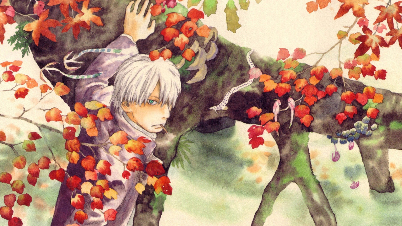 Главный герой аниме Мастер Муси