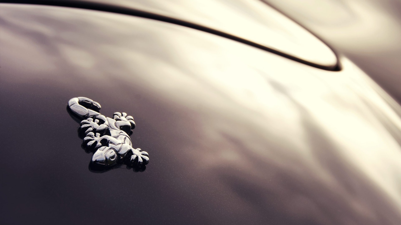 Логотип авто Wiesmann