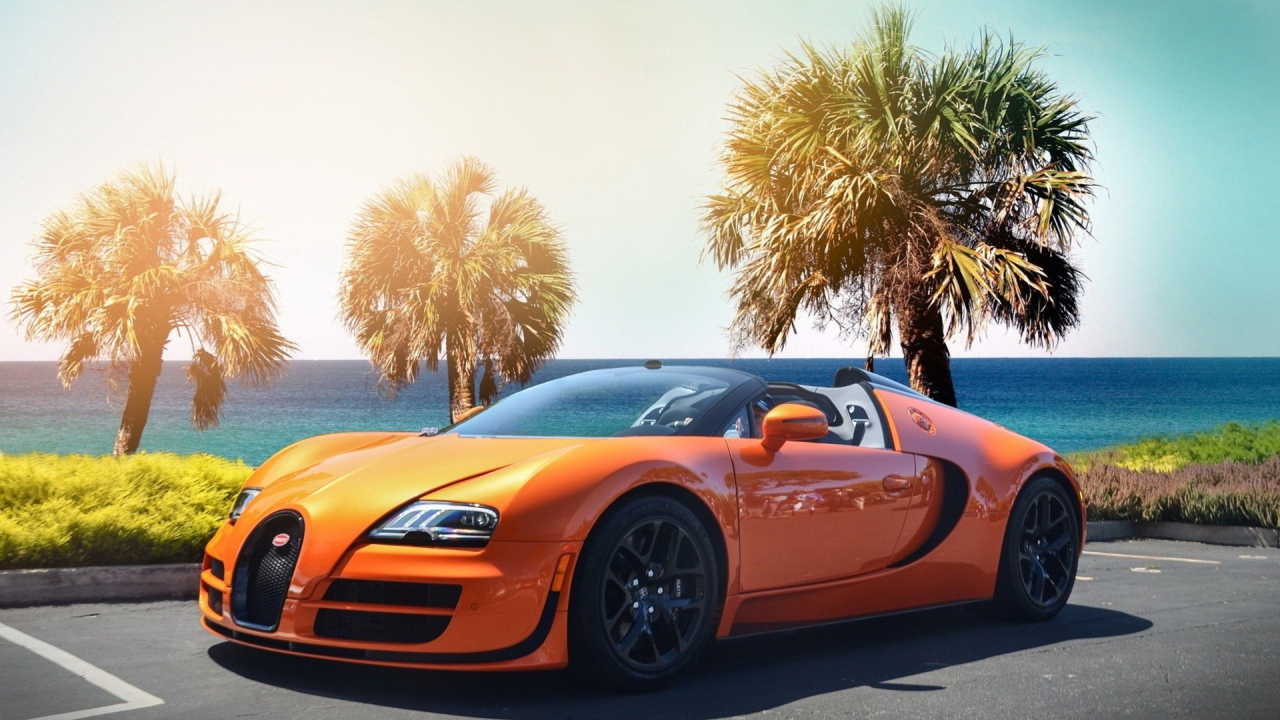 Оранжевый Bugatti Veyron на фоне пальм у моря