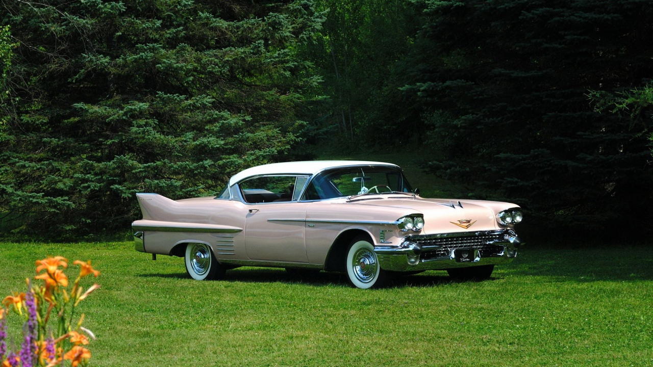 Автомобиль Cadillac Series среди деревьев