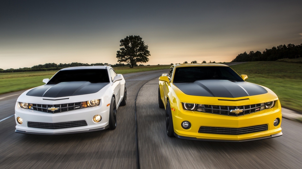 Соревнования белого и желтого Chevrolet Camaro