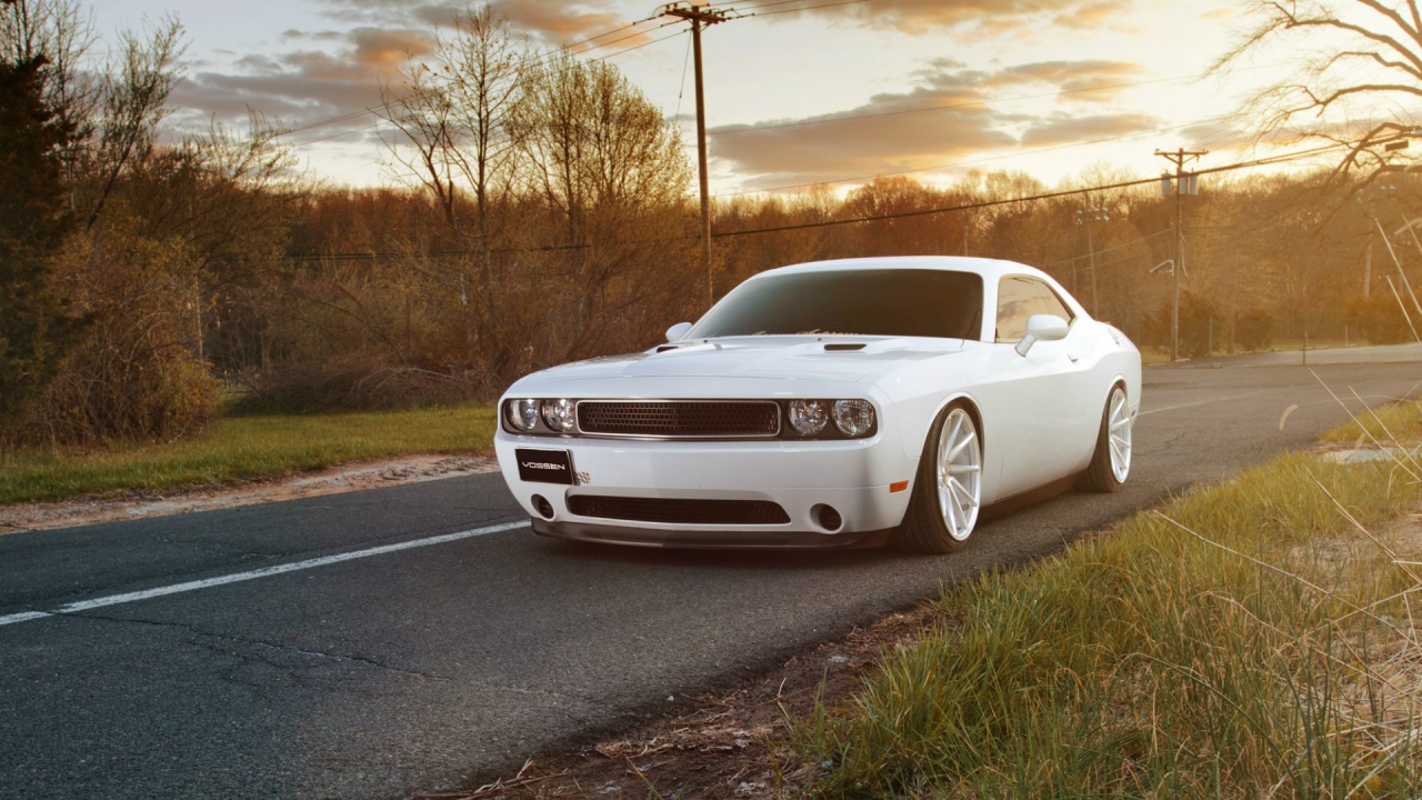 Белый Dodge Challenger на дороге