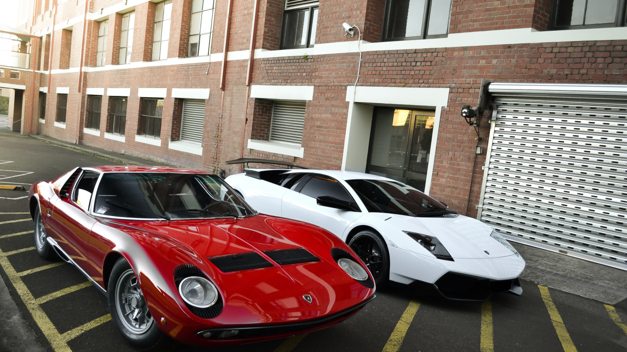 Белый и красный ламборджини