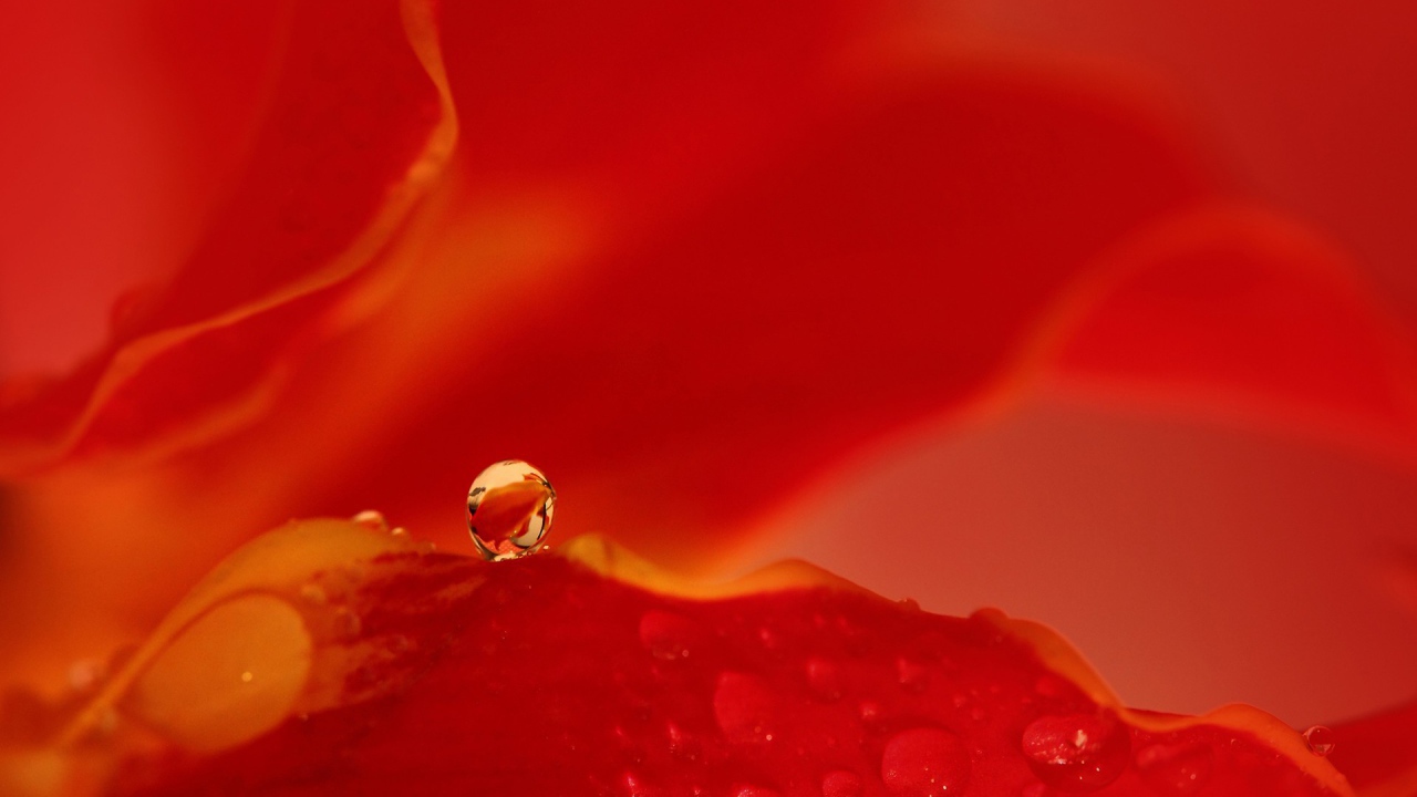 Капля воды на красном фоне